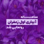 سامانه تعیین زمان آبیاری اول زعفران رونمایی شد